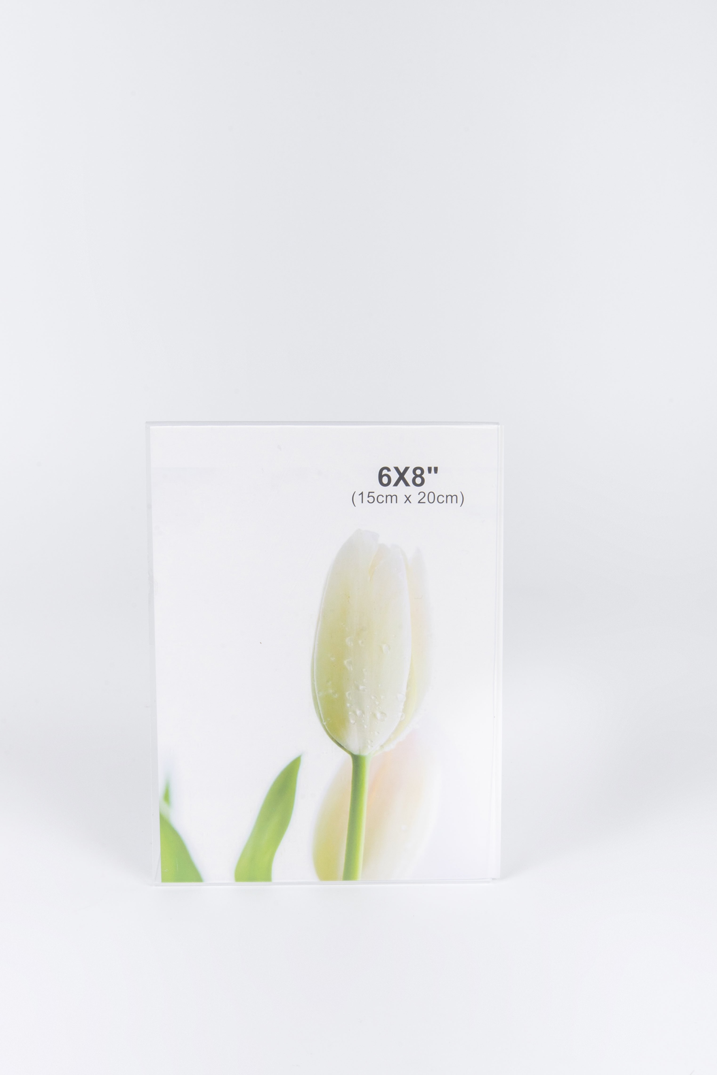 PORTARETRATOS 4X6" DOBLE 10X15CM (ITEM 90089-221)